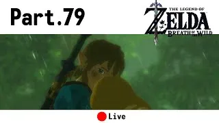 Miniature : RT si c'est triste | Zelda Breath of the Wild - Part. 79