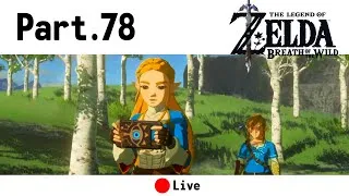 Miniature : Seul Link peut vaincre Ganon | Zelda Breath of the Wild - Part. 78