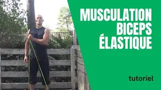 Miniature : Musculation des biceps avec élastique : 4 exercices
