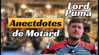 Miniature : Lord Puma : 300 KM/H EN ROADSTER l'anecdote folle