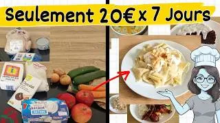 Miniature : Budget Courses 20€ : Ma Réalité Quand Je Gagne Moins Qu'un SMIC