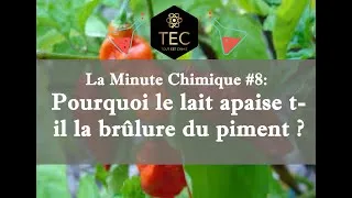 Miniature : [La Minute Chimique #8] - Pourquoi le lait apaise-t-il la sensation de brûlure due au piment ?