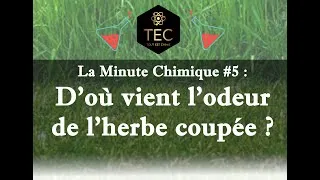Miniature : [La Minute Chimique #5] D'où vient l'odeur de l'herbe coupée ?