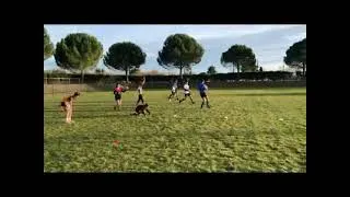 Miniature : 4c4 DEF Retard Jeu DEPLOYÉ U14