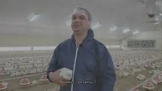 Miniature : WeFeed Farm pour les éleveurs (FR)