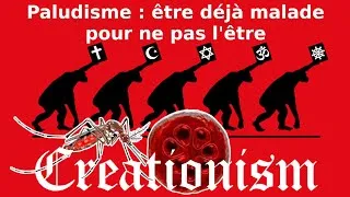 Miniature : 🩸Drépanocytose, 🦟moustique, et 🦠paludisme/malaria, la guerre ouverte (merdes 💩 de l'évolution n°7)