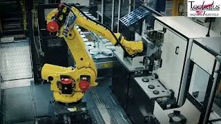 Miniature : 2024 TECHPLUS INGENIEURIE ROBOTIQUE