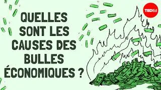 Miniature : Quelles sont les causes des bulles économiques ? - Prateek Singh