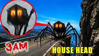 Miniature : UN DRONE A FILMÉ HOUSE HEAD DANS LA VRAIE VIE À 3H DU MATIN !🎥😯