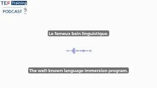 Miniature : Comment passer de B1 à C1 ? #french #learnfrench