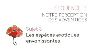 Miniature : Séquence 3 Sujet 3 : Les espèces exotiques envahissantes