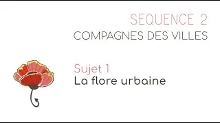 Miniature : Séquence 2 Sujet 1 : La flore urbaine