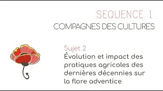 Miniature : Sq 1 S 2 Évolution et impact des pratiques agricoles des dernières décennies sur la flore adventice