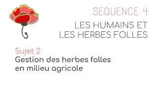 Miniature : Séquence 4 Sujet 2 : Gestion des herbes folles en milieu agricole