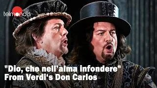 Miniature : "Dio, che nell’alma infondere" from Giuseppe Verdi's "Don Carlos" (French version)