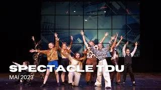 Miniature : Spectacle Madagascar 🌴
