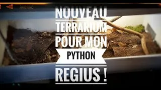 Miniature : Aménagement d'un terrarium pour Python Regius