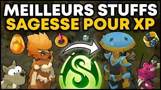 Miniature : Les MEILLEURS STUFFS SAGESSE pour XP sur DOFUS (1 à 200)
