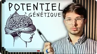 Miniature : Le Framework de Longévité pour Entrepreneurs Modernes