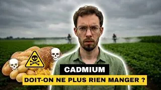 Miniature : CADMIUM : les 3 aliments à BANNIR pour sauver votre SANTÉ