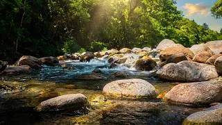 Miniature : Sono thérapie naturelle, Rivière sauvage sommeil paisible, relaxation, anti-stress (8 Heures)