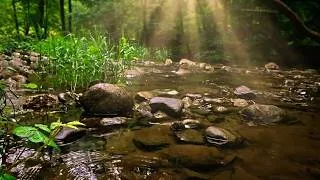 Miniature : Ruisseau du Sidobre : immersion sonore et légendes du Tarn