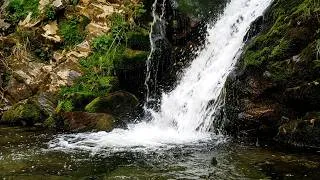 Miniature : 8H RIVIÈRE & CASCADE  Son de l'eau pur pour dormir, étudier et se relaxer (ASMR Nature HD)