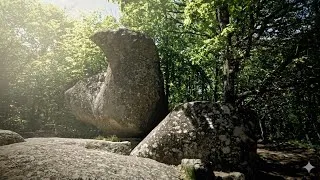Miniature : 🌿 Esprits de la forêt : bain sacré au Sidobre et Lac du Merle (Slow TV)