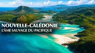 Miniature : Nouvelle-Calédonie : Au Cœur d’un Paradis Sauvage du Pacifique - Documentaire Voyage- AMP