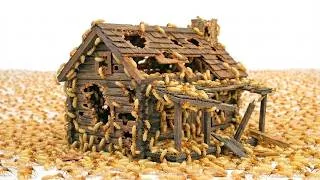 Miniature : 1 000 Termites vs. Maison
