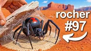 Miniature : J'ai Retourné 100 Rochers en Australie, Voici Ce Que J'ai Trouvé...