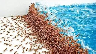 Miniature : 1000 Fourmis vs Catastrophe naturelle