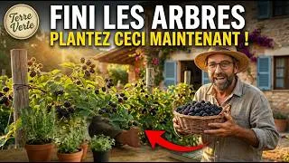 Miniature : 7 Plantes Fruitières Secrètes Qui Produisent Le Double Dans Votre Jardin