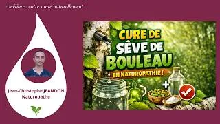 Miniature : La sève de bouleau : LA cure détox du printemps.
