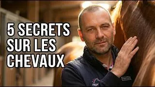 Miniature : Une vidéo pour tous les BPJEPS et élèves BPJEPS équitation