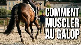 Miniature : Le Contre-Galop : Le Secret pour un Cheval Musclé & en Equilibre