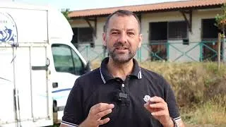 Miniature : L'exercice pour améliorer le pas de votre cheval