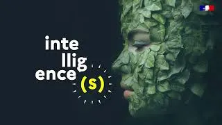 Miniature : Fête de la Science 2025