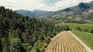 Miniature : Clairette de Die : un territoire à explorer