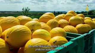 Miniature : Valorisons les déchets alimentaires pour la qualité des sols et des cultures vivrières