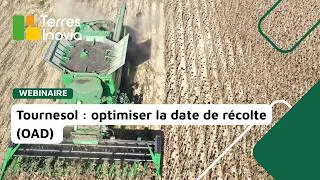 Miniature : Tournesol : optimiser la date de récolte du tournesol