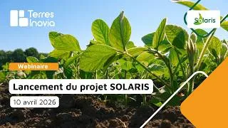 Miniature : Lancement de SOLARIS : un projet PARSADA sur les ravageurs du soja