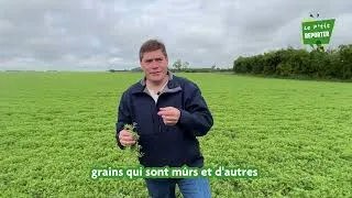 Miniature : P'tit Reporter Denis Philippon nous parle des lentilles
