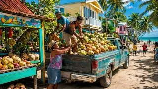 Miniature : Vivre au Belize | La vraie vie dans le coin oublié des Caraïbes | 4K