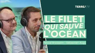 Miniature : Pollution marine : L'innovation qui bloque les déchets à la source 💧