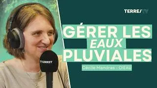 Miniature : 🌧️ Eau de pluie : Déchet à évacuer ou ressource à valoriser ?