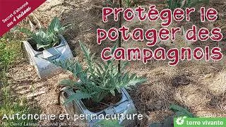 Miniature : Protéger vos cultures des campagnols - Secret d'abonné des 4 Saisons