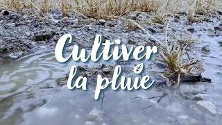 Miniature : Spéciale dédicace au magazine Les 4 Saisons !