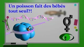 Miniature : Ce n'est pas un poisson d'avril (08/2025)
