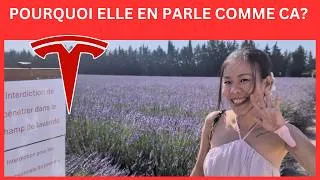 Miniature : LE FAMEUX ROAD TRIP RATE EN TESLA